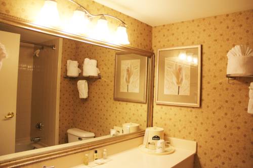 Imagen de la habitación del Hotel Comfort Suites Alpharetta/roswell - Atlanta Area. Foto 3