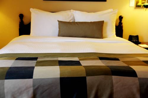 Imagen de la habitación del Hotel Comfort Suites Alpharetta/roswell - Atlanta Area. Foto 7