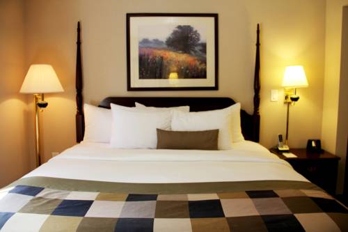 Imagen de la habitación del Hotel Comfort Suites Alpharetta/roswell - Atlanta Area. Foto 10
