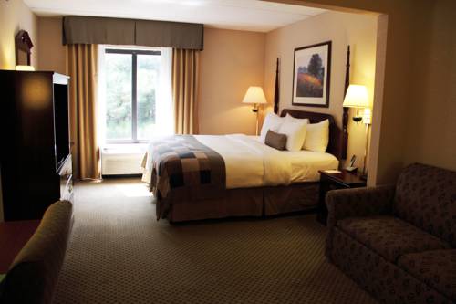Imagen de la habitación del Hotel Comfort Suites Alpharetta/roswell - Atlanta Area. Foto 11