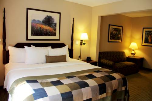 Imagen de la habitación del Hotel Comfort Suites Alpharetta/roswell - Atlanta Area. Foto 12
