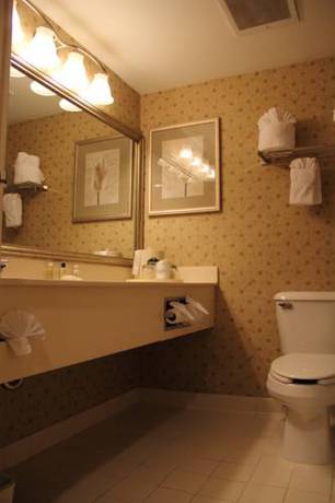 Imagen de la habitación del Hotel Comfort Suites Alpharetta/roswell - Atlanta Area. Foto 14