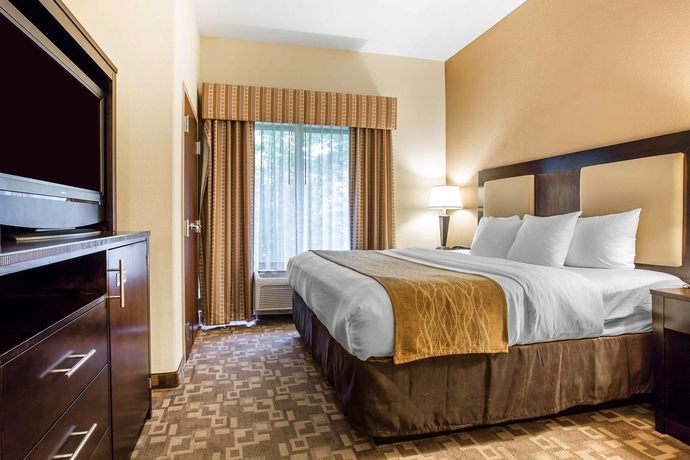 Imagen de la habitación del Hotel Comfort Suites At Kennesaw State University. Foto 8