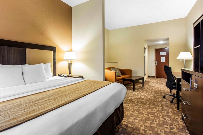 Imagen de la habitación del Hotel Comfort Suites At Kennesaw State University. Foto 9