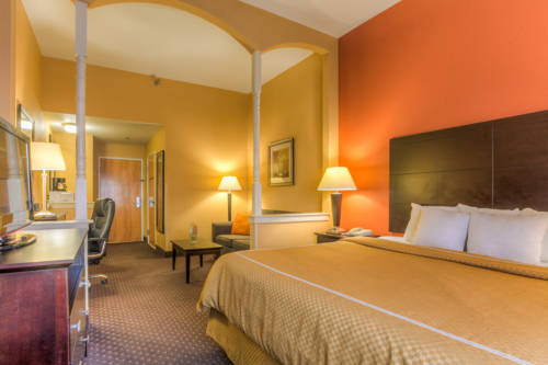 Imagen de la habitación del Hotel Comfort Suites At Rivergate Mall. Foto 4