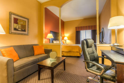 Imagen de la habitación del Hotel Comfort Suites At Rivergate Mall. Foto 11