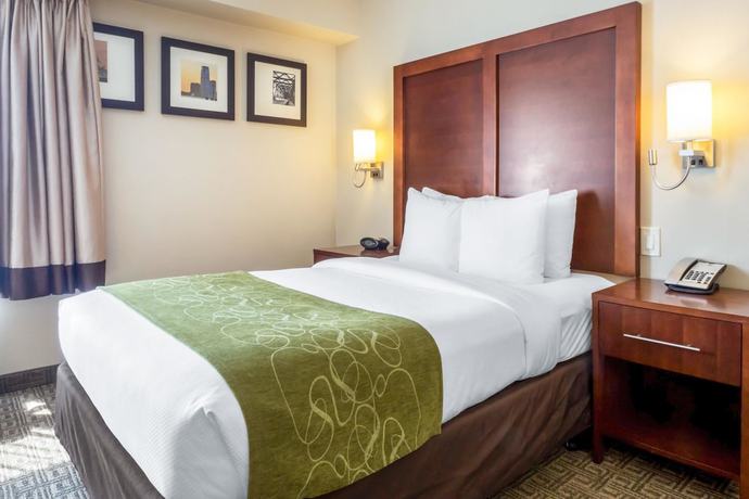Imagen de la habitación del Hotel Comfort Suites At Woodbridge. Foto 10