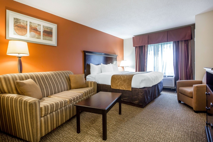 Imagen de la habitación del Hotel Comfort Suites Atlanta Airport. Foto 8