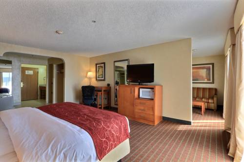 Imagen de la habitación del Hotel Comfort Suites Auburn Hills. Foto 3