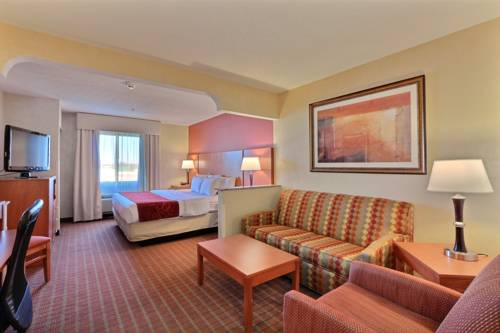 Imagen de la habitación del Hotel Comfort Suites Auburn Hills. Foto 12