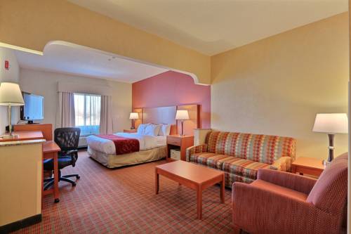 Imagen de la habitación del Hotel Comfort Suites Auburn Hills. Foto 15
