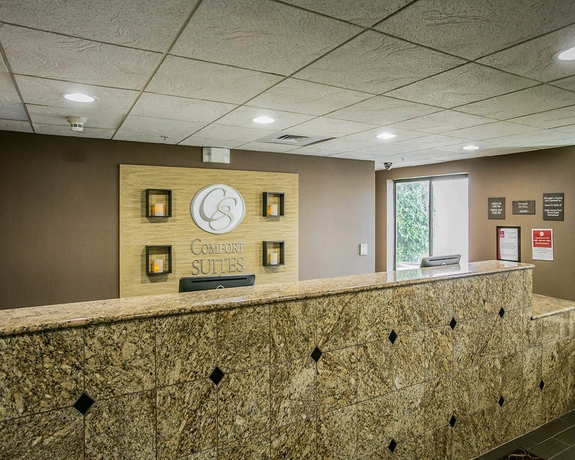 Imagen de los interiores del Hotel Comfort Suites Austin Nw Lakeline. Foto 8