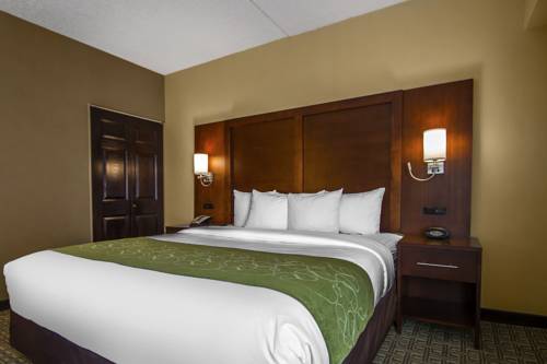 Imagen de la habitación del Hotel Comfort Suites Avenel. Foto 6