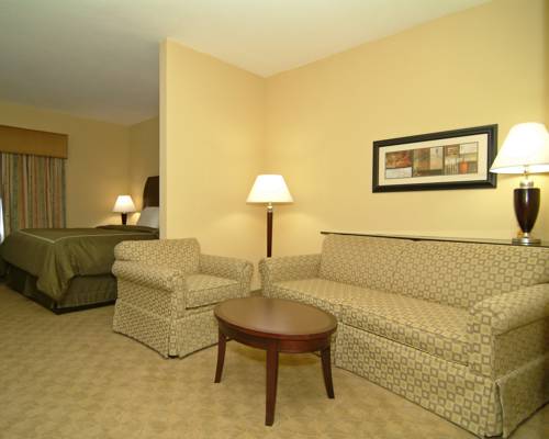 Imagen de la habitación del Hotel Comfort Suites Beaumont I-10. Foto 1