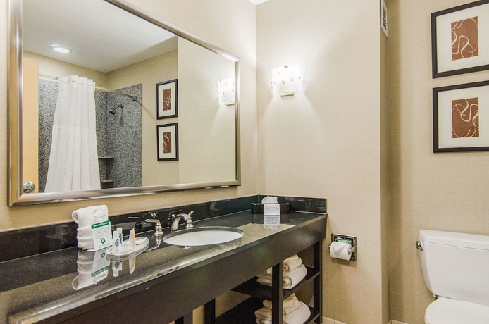 Imagen de la habitación del Hotel Comfort Suites Bentonville - Rogers. Foto 2