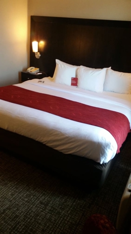 Imagen de la habitación del Hotel Comfort Suites Bentonville - Rogers. Foto 7