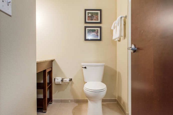 Imagen de la habitación del Hotel Comfort Suites, Billings. Foto 2