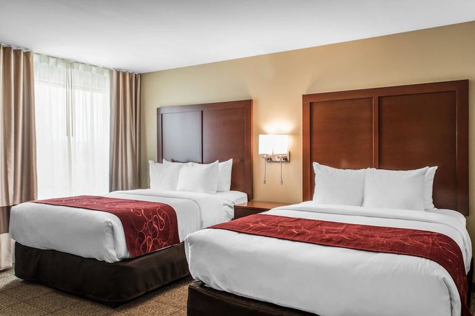 Imagen de la habitación del Hotel Comfort Suites, Billings. Foto 3