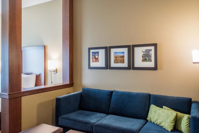 Imagen de la habitación del Hotel Comfort Suites, Billings. Foto 8