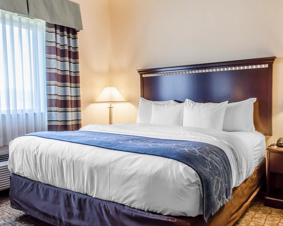 Imagen general del Hotel Comfort Suites Bloomsburg. Foto 1