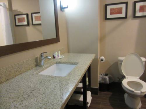 Imagen de la habitación del Hotel Comfort Suites Bluffton - Hilton Head Island. Foto 2