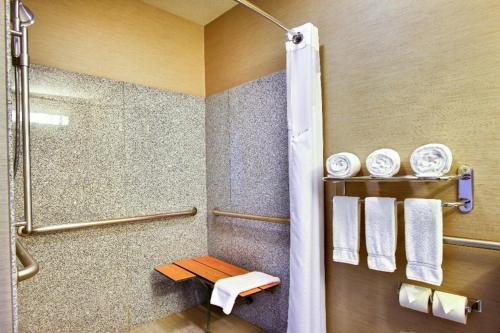Imagen de la habitación del Hotel Comfort Suites Boise West Meridian. Foto 15