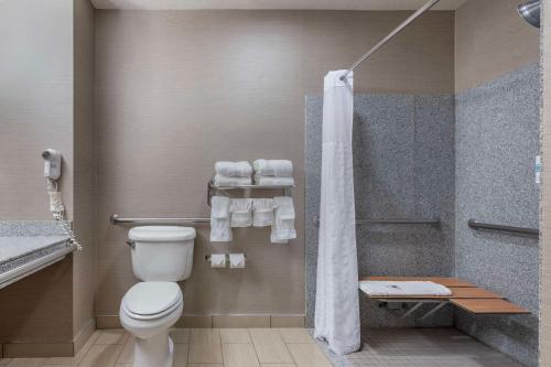Imagen general del Hotel Comfort Suites Boise West Meridian. Foto 5