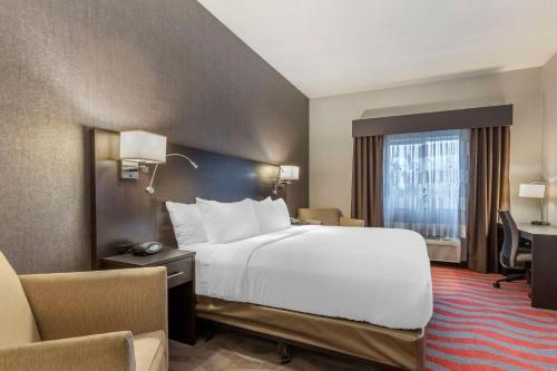 Imagen general del Hotel Comfort Suites Boise West Meridian. Foto 8