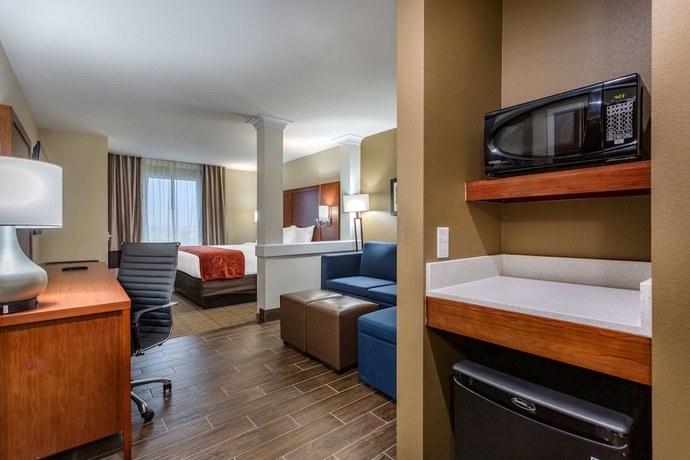 Imagen de la habitación del Hotel Comfort Suites, Bowling Green. Foto 3