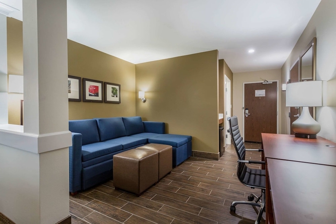 Imagen de la habitación del Hotel Comfort Suites, Bowling Green. Foto 6