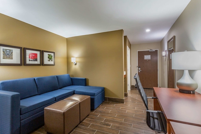 Imagen de la habitación del Hotel Comfort Suites, Bowling Green. Foto 9