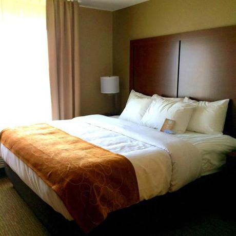 Imagen de la habitación del Hotel Comfort Suites Bridgeport - Clarksburg. Foto 6