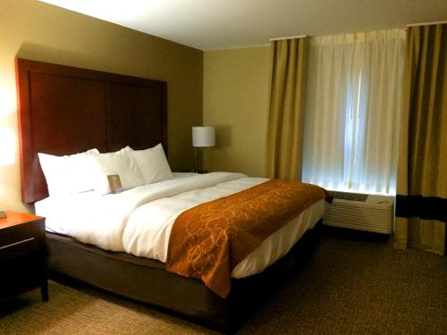 Imagen de la habitación del Hotel Comfort Suites Bridgeport - Clarksburg. Foto 7