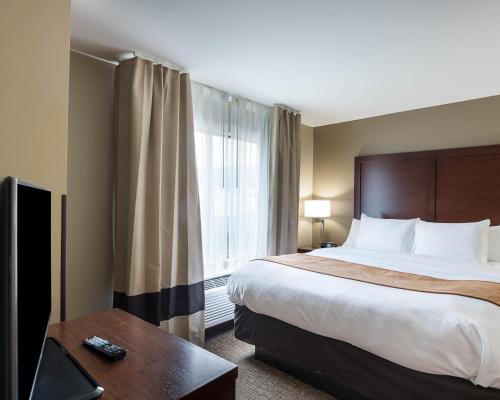 Imagen de la habitación del Hotel Comfort Suites Bridgeport - Clarksburg. Foto 8