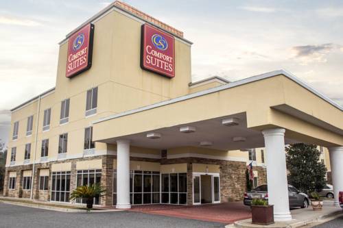 Imagen de la habitación del Hotel Comfort Suites Brunswick. Foto 2