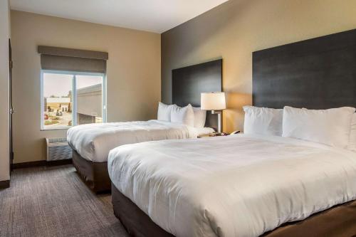 Imagen de la habitación del Hotel Comfort Suites, Brunswick. Foto 6