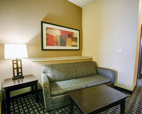 Imagen de la habitación del Hotel Comfort Suites Buda - Austin South. Foto 3