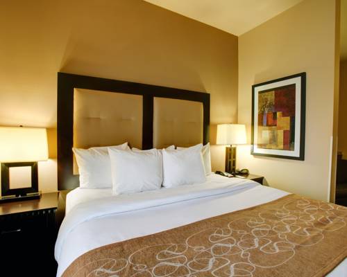 Imagen de la habitación del Hotel Comfort Suites Buda - Austin South. Foto 4