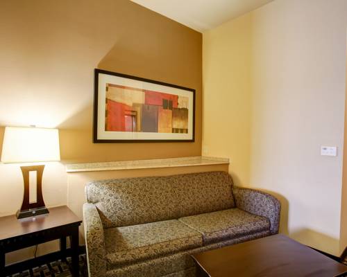 Imagen de la habitación del Hotel Comfort Suites Buda - Austin South. Foto 6