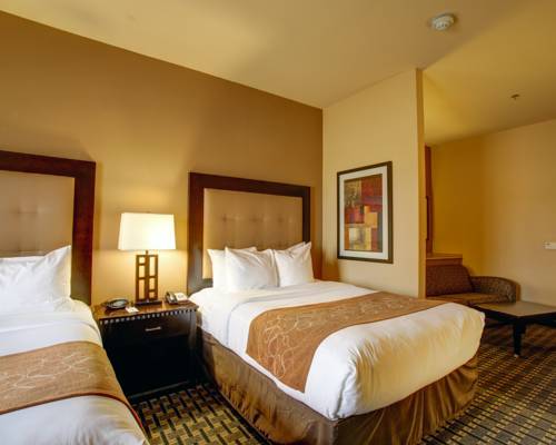 Imagen de la habitación del Hotel Comfort Suites Buda - Austin South. Foto 8