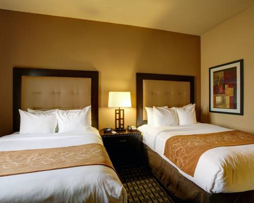 Imagen de la habitación del Hotel Comfort Suites Buda - Austin South. Foto 9