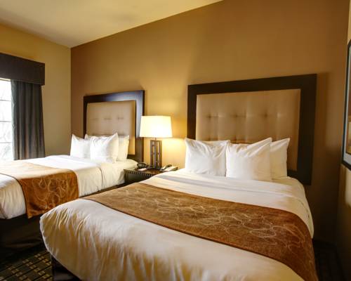 Imagen de la habitación del Hotel Comfort Suites Buda - Austin South. Foto 10