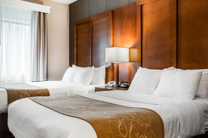 Imagen de la habitación del Hotel Comfort Suites, Buffalo. Foto 3