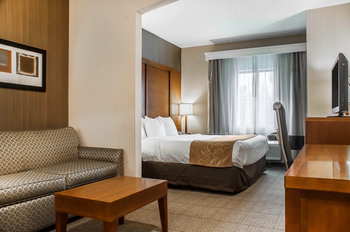 Imagen de la habitación del Hotel Comfort Suites, Buffalo. Foto 5
