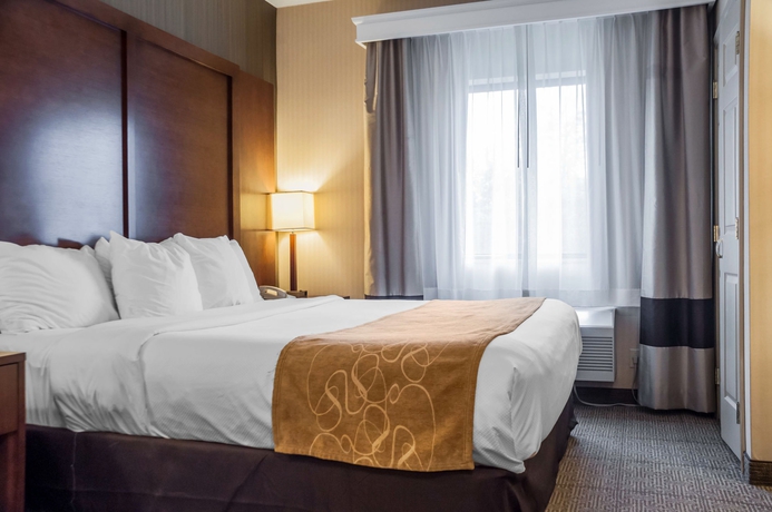 Imagen de la habitación del Hotel Comfort Suites, Buffalo. Foto 7