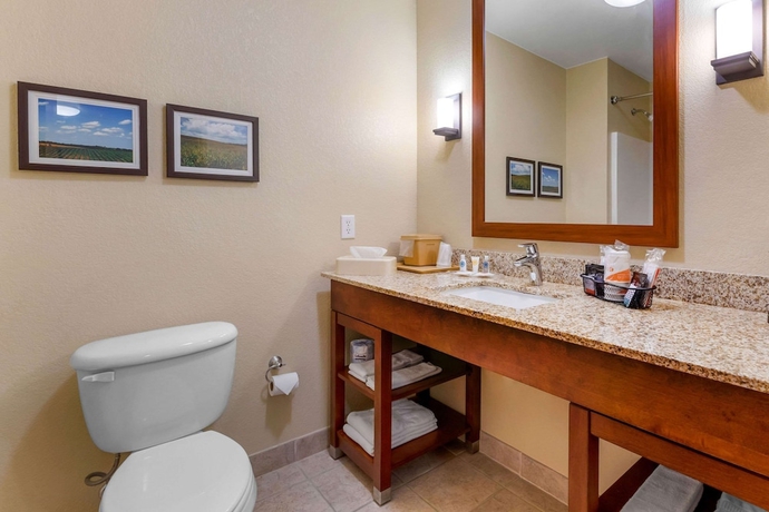 Imagen de la habitación del Hotel Comfort Suites Burlington. Foto 12