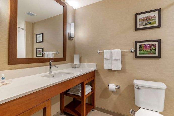 Imagen de la habitación del Hotel Comfort Suites Camp Hill-Harrisburg West. Foto 2