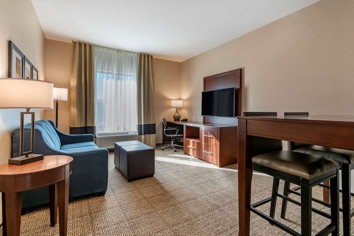 Imagen de la habitación del Hotel Comfort Suites Camp Hill-Harrisburg West. Foto 3
