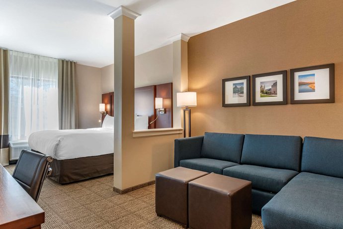 Imagen de la habitación del Hotel Comfort Suites Camp Hill-Harrisburg West. Foto 7