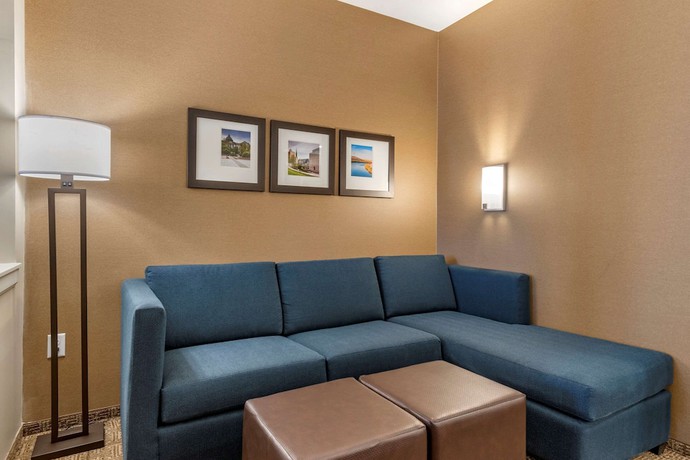 Imagen de la habitación del Hotel Comfort Suites Camp Hill-Harrisburg West. Foto 8